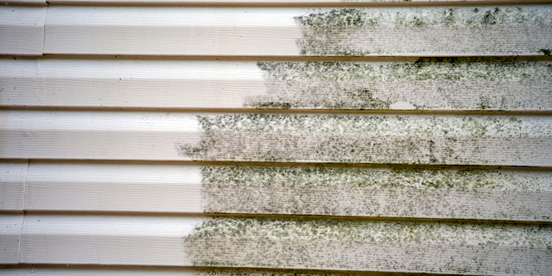 Experience the Advantages of Siding Softwashing