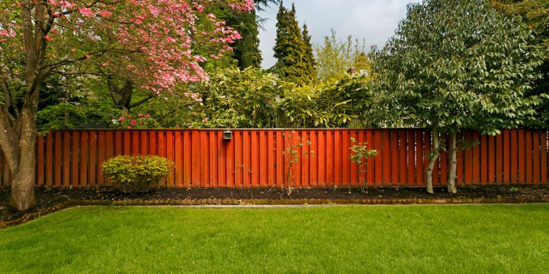 Try a New Approach with Fence Softwashing