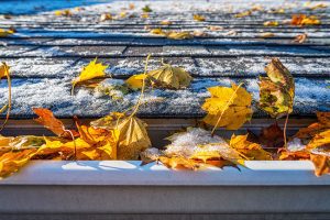 Why Roof Cleaning is Especially Important Before Winter