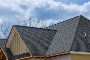 Top 5 Benefits of Roof Softwashing